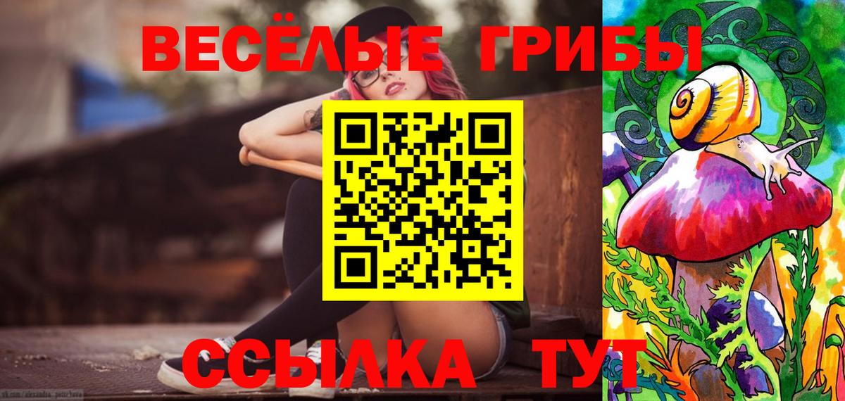 Галлюциногенные грибы Cubensis Лесосибирск