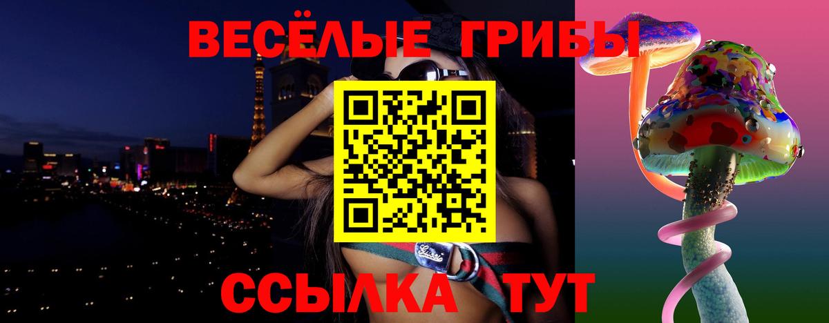 Псилоцибиновые грибы Psilocybe  Псилоцибиновые грибы прущие грибы  Лесосибирск  Вход с VPN 