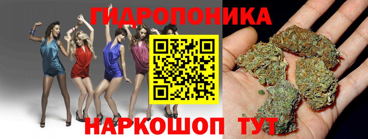 МАРИХУАНА гибрид  Шишки марихуана White Widow  Лесосибирск  Бошки Шишки тримм  Вход с VPN 